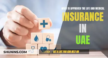 UAE Life and Medical Insurance: Approval and You