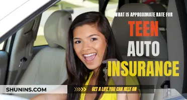 Auto Insurance for Teens: Understanding Approximate Rates