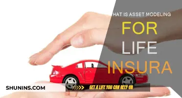 Asset Modeling for Life Insurance: Understanding the Basics