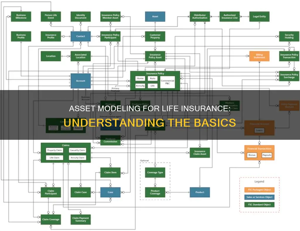 what is asset modeling for life insurance