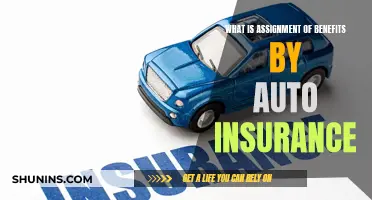 Auto Insurance: Understanding Assignment of Benefits