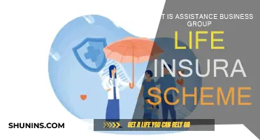 Business Group Life Insurance: Assistance and Benefits Explained