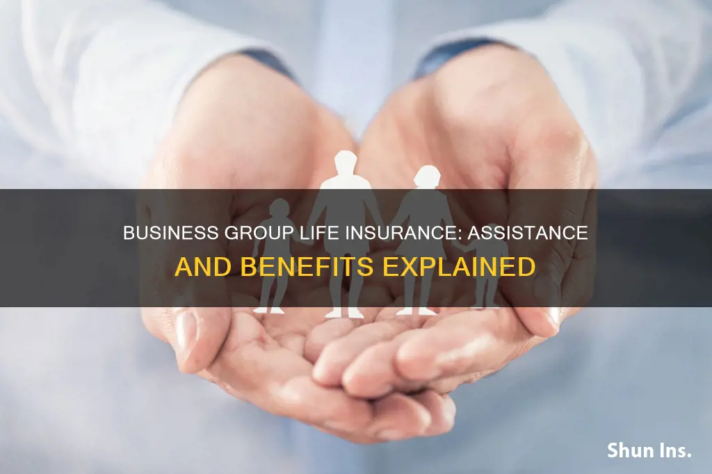 what is assistance business group life insurance scheme