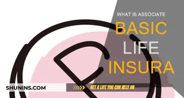 Basic Life Insurance: What Associates Need to Know