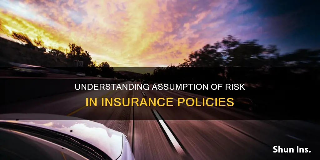 what is assumption of risk in insurance
