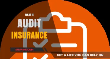 Understanding Audit Insurance: Protecting Your Business from Unexpected Costs