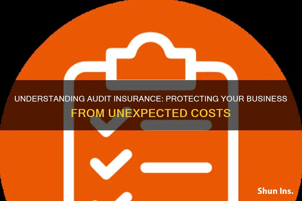 what is audit insurance