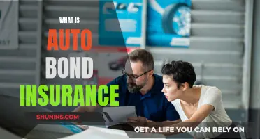 Understanding Auto Bond Insurance: What You Need to Know