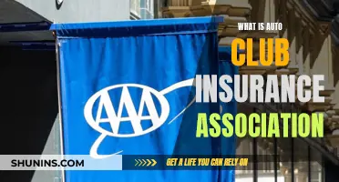 Auto Club Insurance Association: What You Need to Know