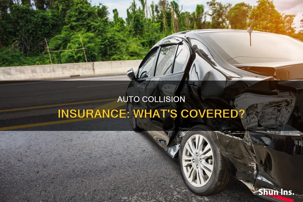 what is auto collision insurance coverage