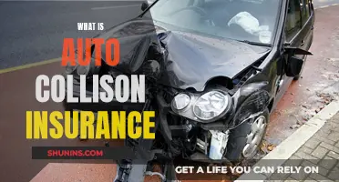 Auto Collision Insurance: What You Need to Know