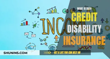 Credit Disability Insurance: Automatic Financial Protection