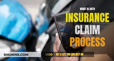 Understanding Auto Insurance Claims: A Step-by-Step Guide