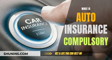 Auto Insurance: Why Compulsory and What It Covers