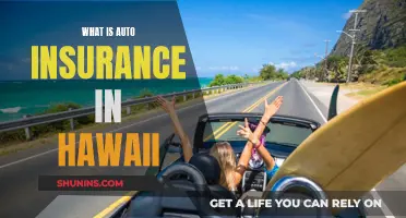 Hawaii Auto Insurance: What You Need to Know