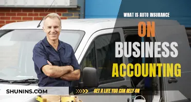 Auto Insurance: Business Accounting's Financial Shield