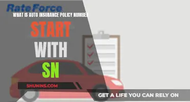 Understanding Auto Insurance: SN Policy Number Meaning