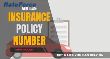 Understanding Auto Insurance: Decoding Policy Numbers