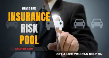 Understanding Auto Insurance Risk Pools and Their Function