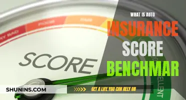 Understanding Auto Insurance Score Benchmarks: Your Guide