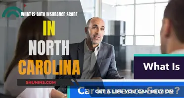 Auto Insurance Score: North Carolina's Unique Rating System