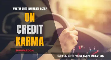 Understanding Auto Insurance Scores with Credit Karma