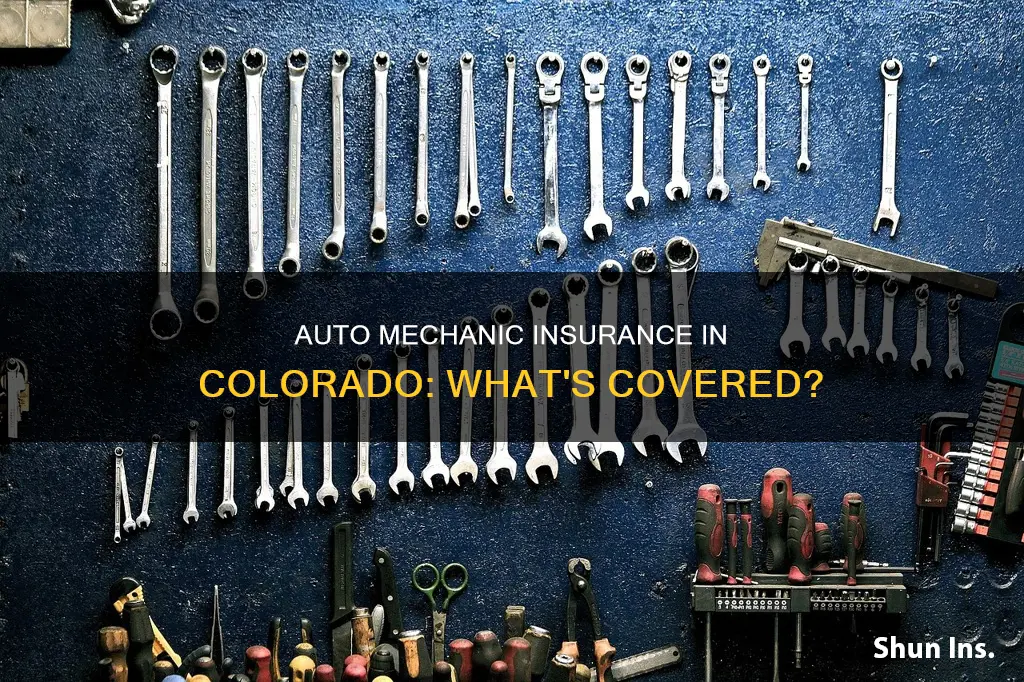 what is auto mechanic pldl auto insurance in colorado