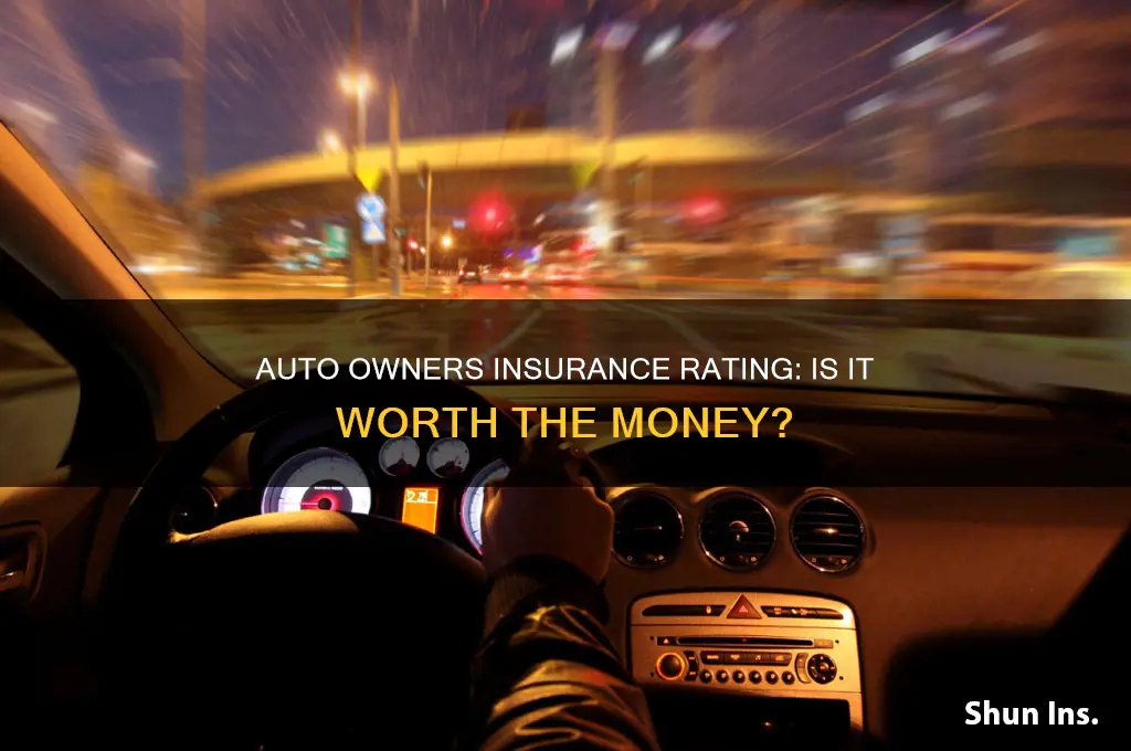 what is auto owners insurance rating