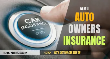 Auto Owners Insurance: What You Need to Know