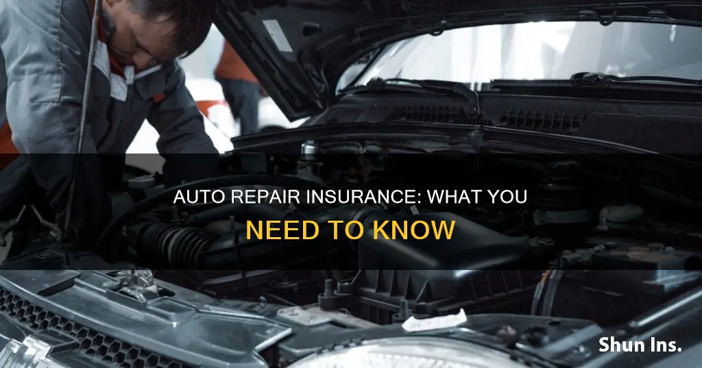 what is auto repair insurance