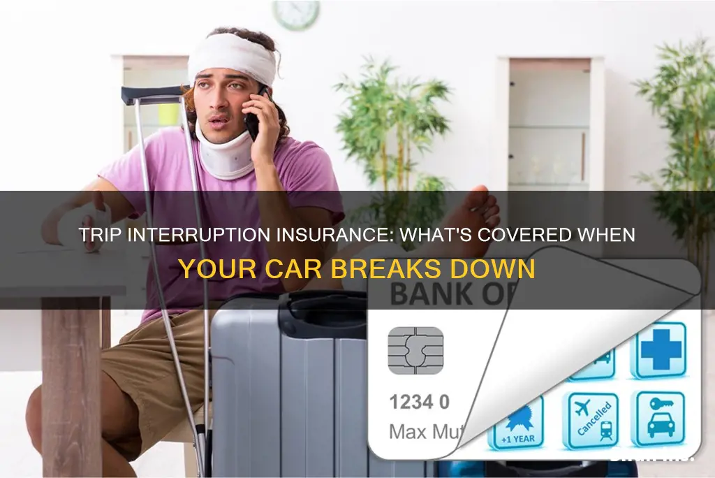 what is auto trip interruption insurance