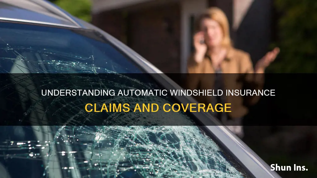 what is auto winshield insurance called