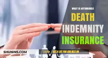 Understanding Automobile Death Indemnity Insurance: Coverage, Benefits, and Importance