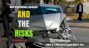 Understanding Automobile Insurance: Managing Your Risks