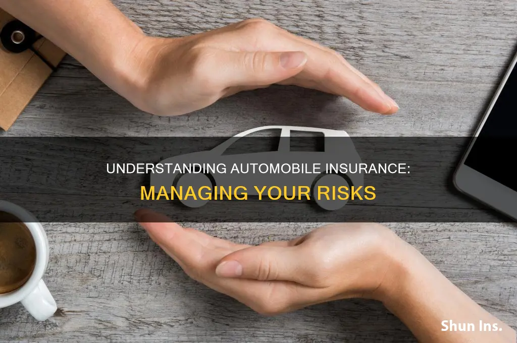 what is automobile insurance and the risks