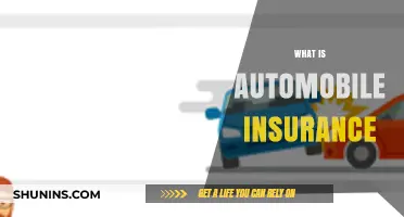 Understanding Automobile Insurance: Protecting Your Ride