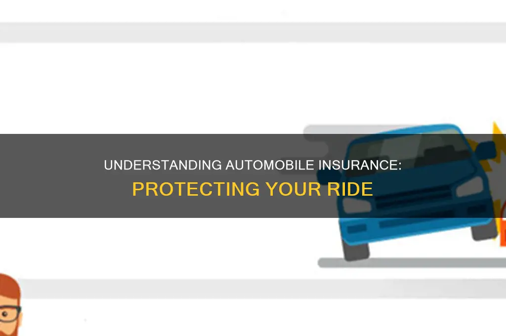what is automobile insurance