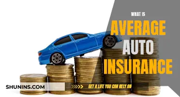 Auto Insurance: Understanding the Average Cost and Coverage