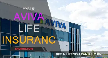 Aviva Life Insurance: What You Need to Know