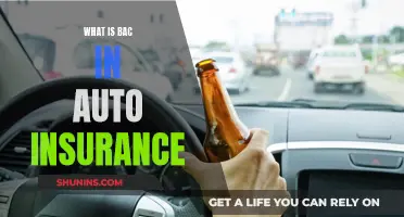 Understanding BAC Auto Insurance: What You Need to Know