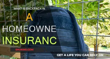 Backpack Basics: Home Insurance Coverage