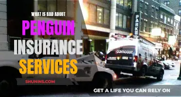 Penguin Insurance: Hidden Fees, Slow Claims, Unreliable Coverage