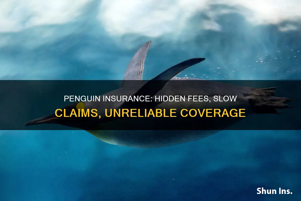 what is bad about penguin insurance services