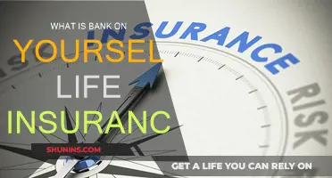 Bank on Yourself: Life Insurance Policy as a Bank