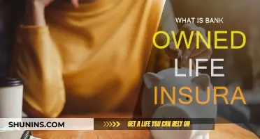 Understanding Bank-Owned Life Insurance Policies and Their Benefits