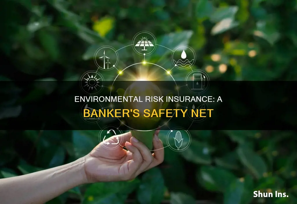 what is bankers environmental risk insurance