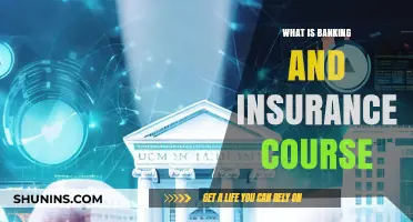 Explore Banking and Insurance: Career Opportunities