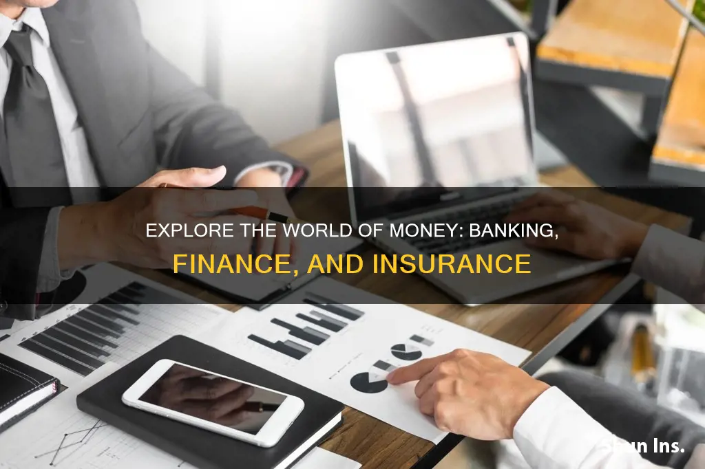 what is banking finance and insurance