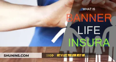 Banner Life Insurance: What You Need to Know