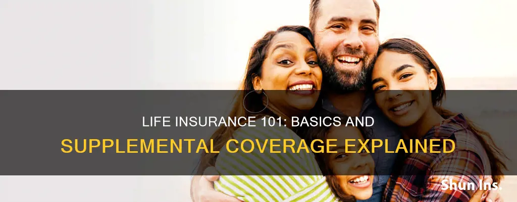 what is basic and supplemental life insurance